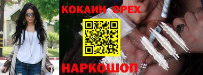 ГАЛЛЮЦИНОГЕННЫЕ ГРИБЫ Гусев