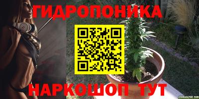 ГАЛЛЮЦИНОГЕННЫЕ ГРИБЫ Гусев