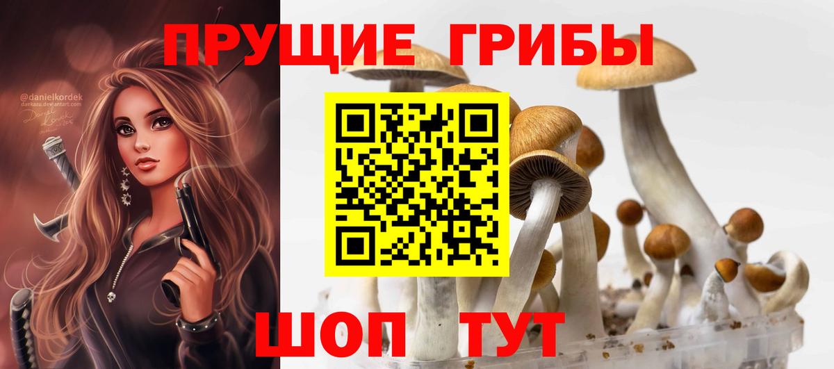 Галлюциногенные грибы мухоморы Родники