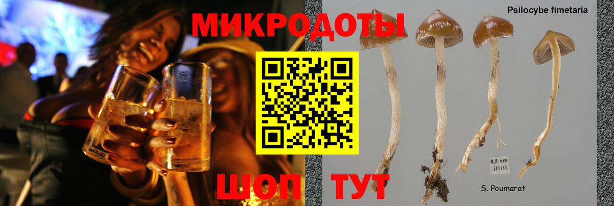 Галлюциногенные грибы ЛСД  Галлюциногенные грибы Cubensis  Родники  Вход с VPN 