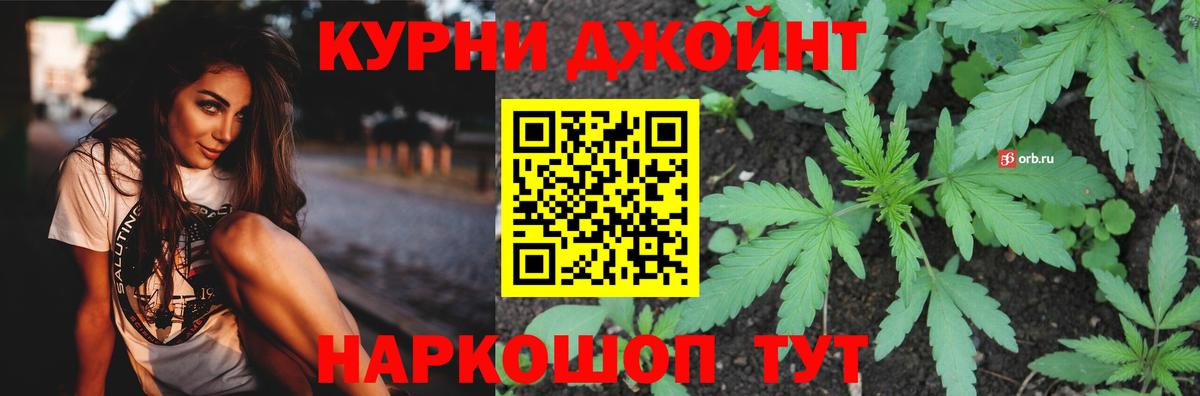 Конопля OG Kush  Марихуана план  Канабис сатива  МАРИХУАНА White Widow  Родники  Вход с VPN 